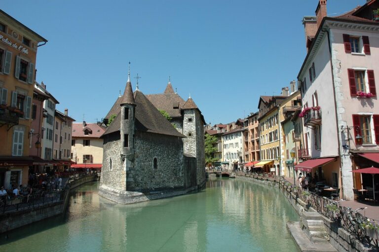 Prévenir les infestations de nuisibles en Haute-Savoie