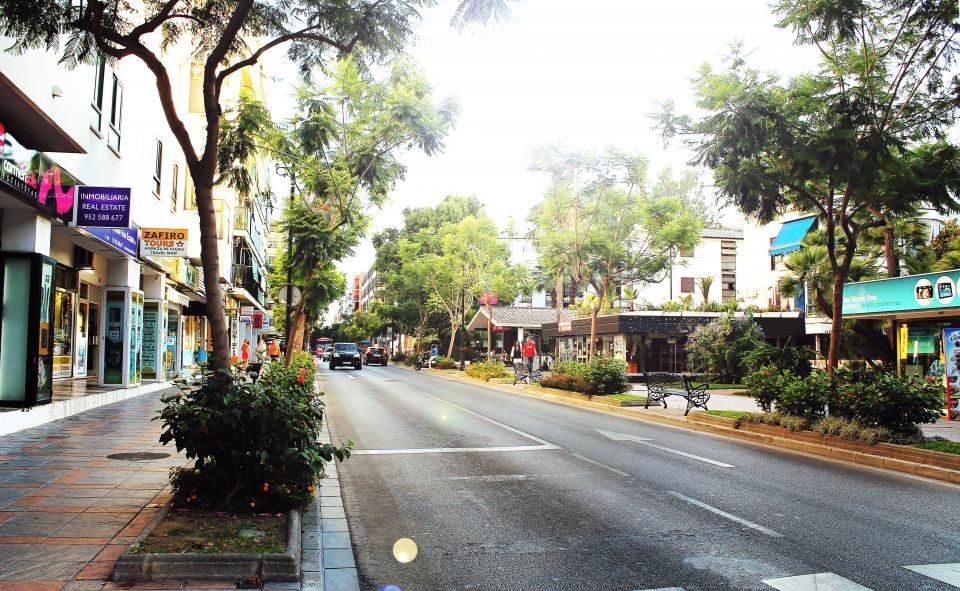 Avenue arborée avec trottoirs et chaussée en ville