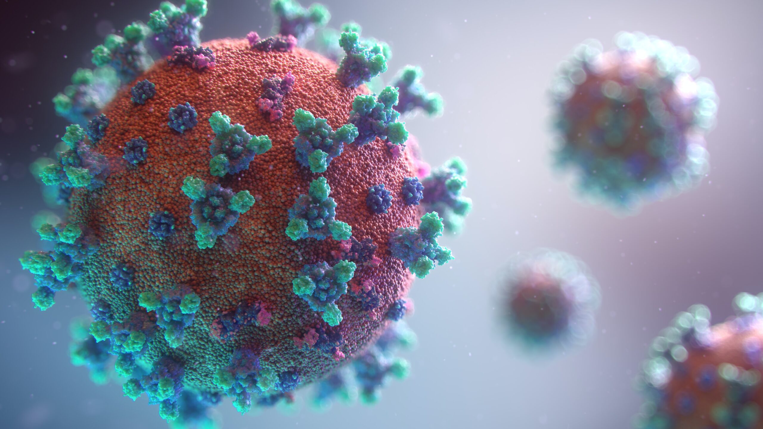 Image de Fusion Medical Animation